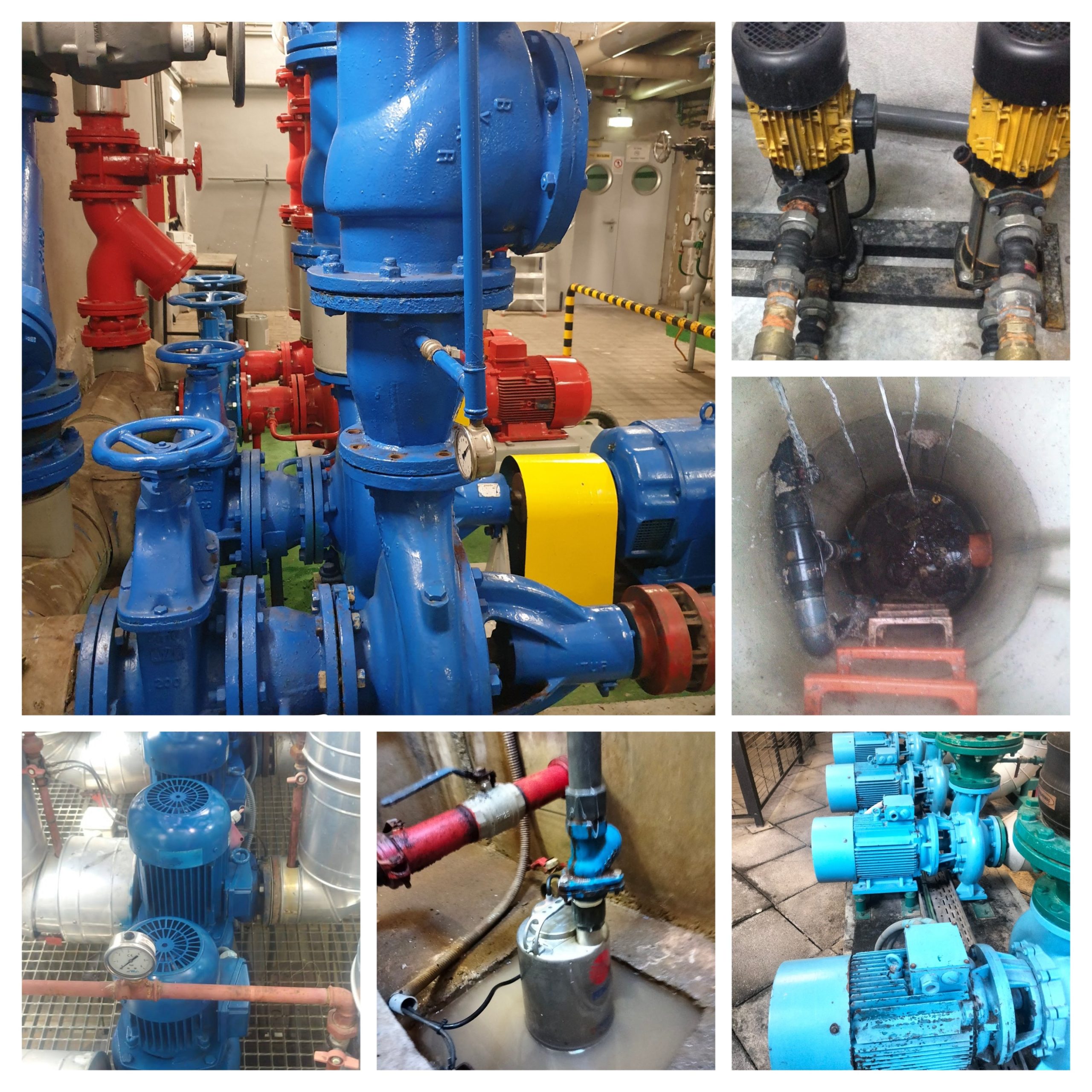 20250919_100525-COLLAGE